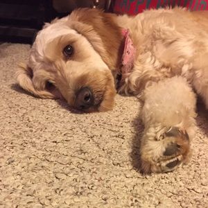 Meet your Posher, Emily